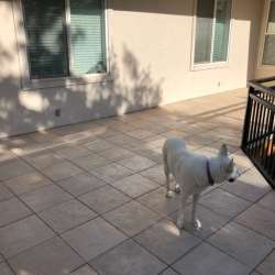 dektek tile seashell concrete luxury decking